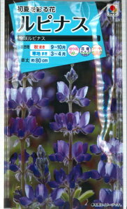 ysiXzP烋siXy^LCczi10mljyϊNz[H܂]