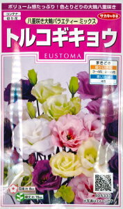 ygRMLEzd炫փoGeB[~bNXyTJ^̃^lzR[eBOqi40jyϊ1`2NzgRLLE[t܂][H܂]905333