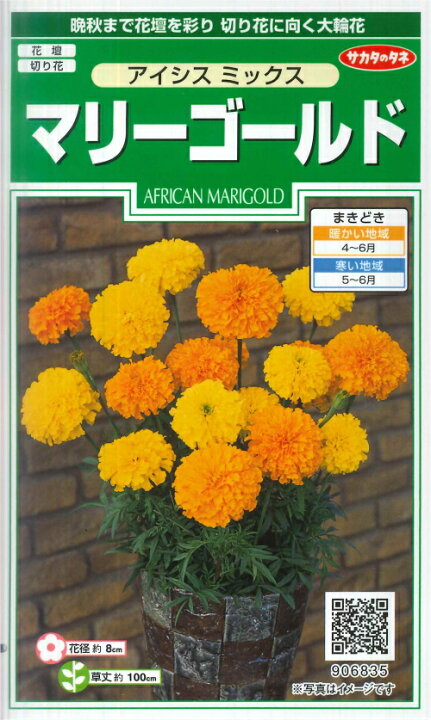 楽天市場 マリーゴールド アイシスミックス サカタのタネ 1ml 春まき一年草 9065 Hana Uta 米沢園芸 楽天市場店