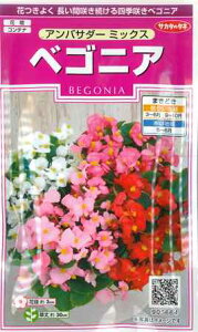 yxSjAzAoT_[~bNXyTJ^̃^lzi30jyt܂1Nz[t܂][H܂](905664)