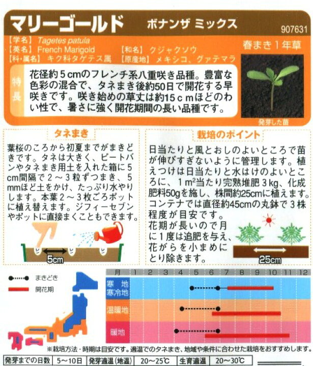 楽天市場 マリーゴールド ボナンザミックス サカタのタネ 2ml 春まき一年草 Hana Uta 米沢園芸 楽天市場店