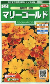 【マリーゴールド】一重咲き混合【サカタのタネ】（1.2ml）【春まき一年草】