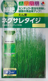 【えん麦】ネグサレタイジ（60ml）緑肥[春まき][秋まき]【タキイ種苗】