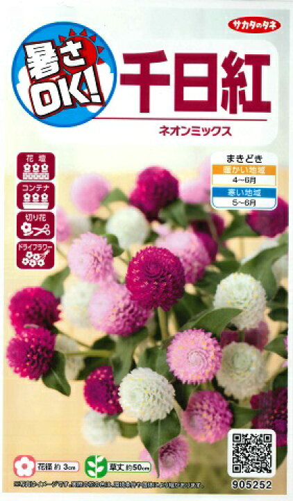 楽天市場】【千日紅】ネオンミックス【サカタのタネ】（0.5ml）【春 