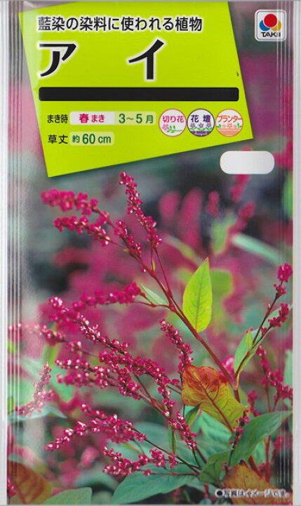 トラスト 30粒 ハボタン タキイ種苗 夏まき Krntner Pflege Service 04b At
