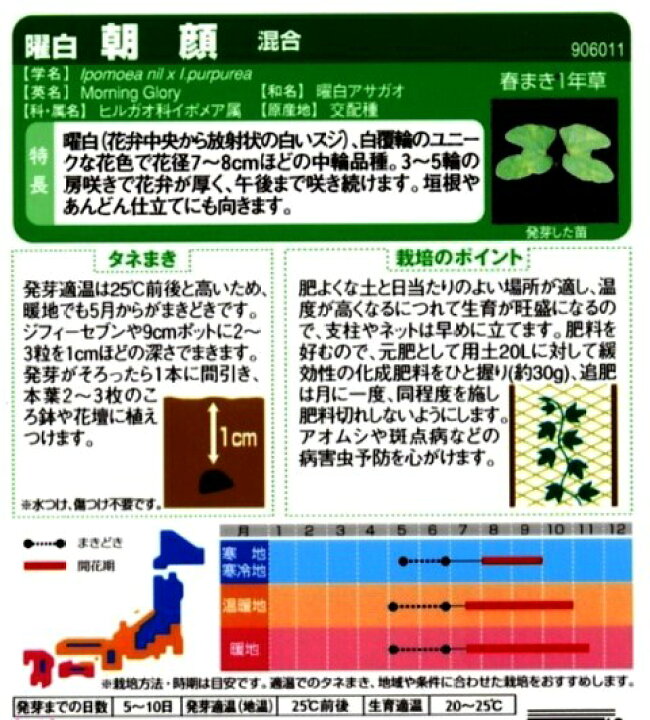 楽天市場 朝顔 曜白 ようじろ 混合 サカタのタネ 1ml アサガオ Hana Uta 米沢園芸 楽天市場店