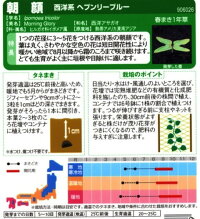 袋裏→クリックして拡大