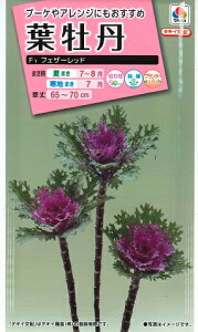 ytO̎zF1tFU[bhy^LCzzi40jn{^/^LCc[Ă܂]FHB702