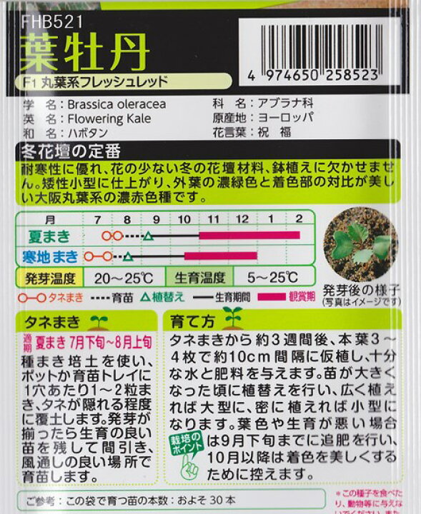 トラスト 30粒 ハボタン タキイ種苗 夏まき Krntner Pflege Service 04b At