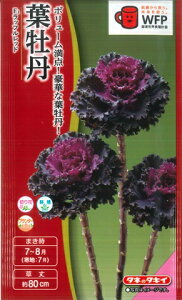 ytO̎zF1btbhy^LCzzi30jn{^/^LCc[Ă܂]yRCPz