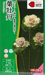 ytO̎zF1btojy^LCzzi30jn{^/^LCc[Ă܂]yRCPz