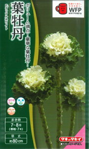 ytO̎zF1btzCgy^LCzzi30jn{^/^LCc[Ă܂]yRCPz