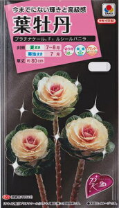 ytO̎in{^jz@F1V[ojy^LCzPVPz15