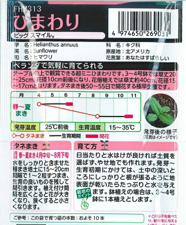 楽天市場 超ミニひまわり ビッグスマイル タキイ種苗 2 5ml 極早生 春まき 夏まき ヒマワリの種fhm313 Hana Uta 米沢園芸 楽天市場店