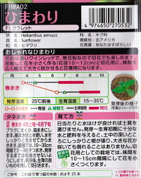 袋裏→クリックして拡大