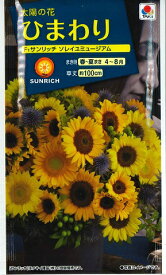 【太陽の花　ひまわり】F1サンリッチ ソレイユミュージアム【タキイ種苗】（3ml）[春まき][夏まき]