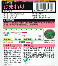 袋裏