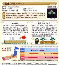 袋裏→クリックして拡大