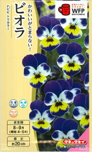 yrIzrr gJ[y^LCczi0.2mljyϊNz[H܂]