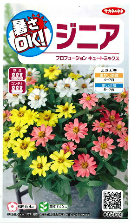 楽天市場 ジニア プロフュージョンキュートミックス サカタのタネ 0 3ml 春まき一年草 Hana Uta 米沢園芸 楽天市場店