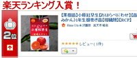 沢山のお買い上げありがとうございます!