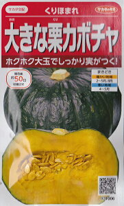 y傫ȌIJ{`zق܂yTJ^zzi6mljt܂؎TJ^̃^l921006