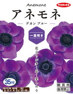 【秋植え球根】（アネモネ一重咲き）デカン　ブルー（30ml詰）【サカタのタネ】
