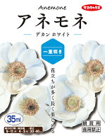 【秋植え球根】（アネモネ一重咲き）デカン　ホワイト（30ml詰）【サカタのタネ】