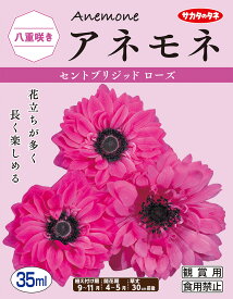 楽天市場 アネモネ 球根の通販