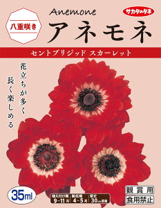 yHAziAlle炫jZguWbh@XJ[bgi30mlljyTJ^̃^lz