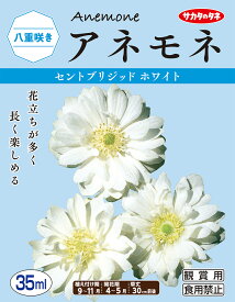 楽天市場 アネモネ 球根の通販