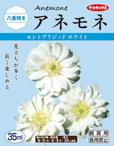 yHAziAlle炫jZguWbh@zCgi30mlljyTJ^̃^lz