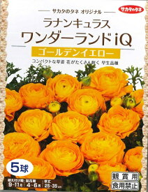 【秋植え球根】ラナンキュラス （ワンダーランドIQ）ゴールデンイエロー　【サカタのタネ】（5球詰）02P05Nov16