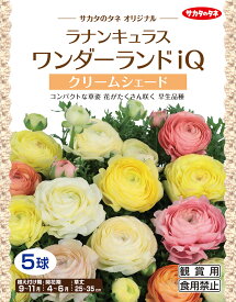 楽天市場 ラナンキュラス 球根の通販