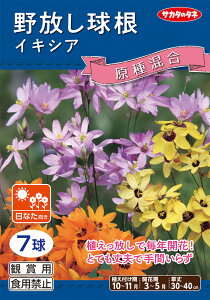 yCLVA 퍬zyHAzi7ljyTJ^̃^lzȂ