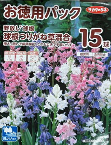 ppbN@y肪˂ zyHAzi15ljyTJ^̃^lz