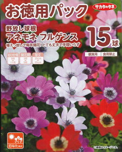 pyAllztQXyHAzi15ljyTJ^̃^lzȂyRCPz