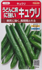 【キュウリ】うどんこ病に強いキュウリ（36粒）【一代交配】（サカタのタネ）】春まき野菜種 920430