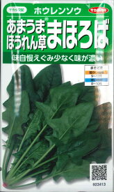 【あまうまほうれん草】まほろば 【サカタ交配】（25ml）野菜種/ホウレンソウ[秋まき]923413
