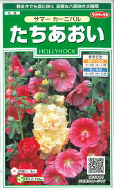 楽天市場 秋まき 多年草の通販