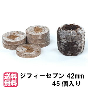 WtB[Zuya42mmz45[֑݁s
