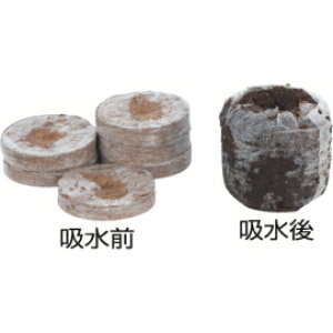 WtB[Zuya30mmz2000蓿p݁y[J[ɂ̂̂Ɠsz