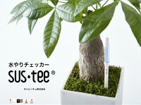 サスティーSUS・TEE