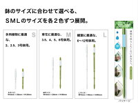 サイズとカラー