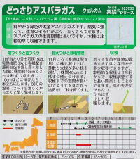 袋裏→クリックして拡大