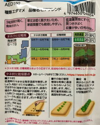 袋裏→クリックして拡大