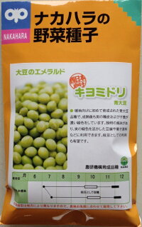 青大豆キヨミドリ