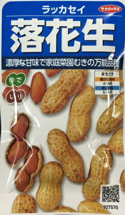 楽天市場 ピーナッツ 落花生 ラッカセイ サカタのタネ 50ml 野菜種 春まき Hana Uta 米沢園芸 楽天市場店