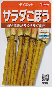 yT_ڂz_CGbg yTJ^̃^lzi10mlj؎/S{E[t܂][H܂]925771