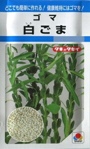 y܁z܁y^LCczi12mlj؎[t܂]